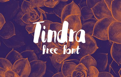 Tindra-Free Leaks XXX 🍆 79 Vids