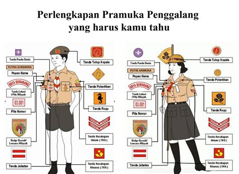 Tingkatkan Kepemimpinan Pramuka Anda dengan Pasang Bet Pramuka Pembina yang Menginspirasi