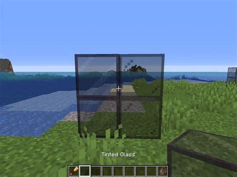 Tinted Glass Block in Minecraft