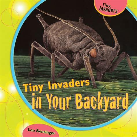 Tiny Backyard Invaders