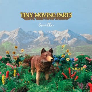 Tiny Moving Parts - Birdhouse Lyrics AZLyrics.com