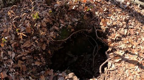 🍑 (SEX) Tiny.Hole Leaks