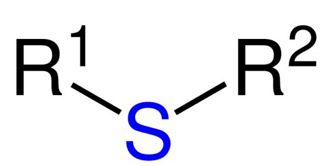 Tioeter - Wikiwand