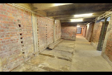 Tiong Bahru Air Raid Shelter - Roots