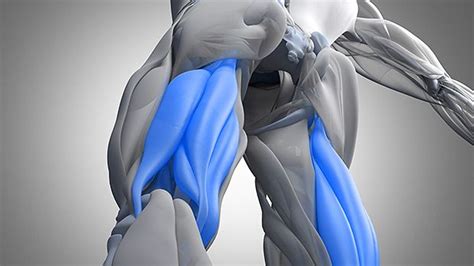 Tip 10 Fresh Ways to Build Your Hamstrings