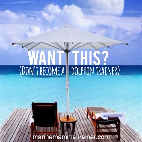 Tip 3 Misconceptions About Being a Trainer