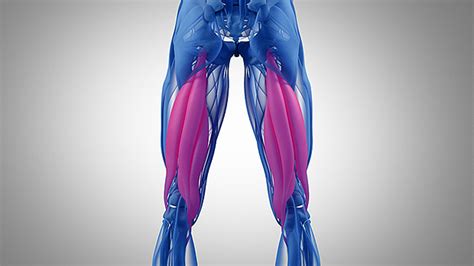 Tip 4 Hamstring Exercises for Athletic Performance