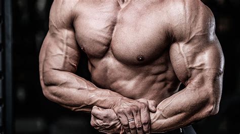 Tip 6 Quick Tips for Complete Pec Development