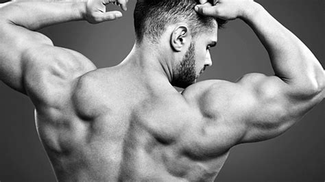 Tip A New Way to Build Rear Delts