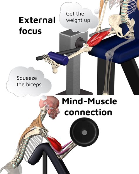 Tip Build Your Mind Muscle Connection