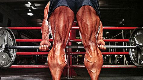 Tip Choose the Right Load for Hamstrings