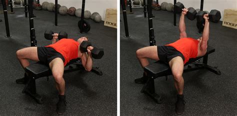 Tip For Pecs Use Dumbbells Not Barbells