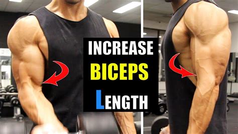 Tip How to Fill In Your Biceps Gap
