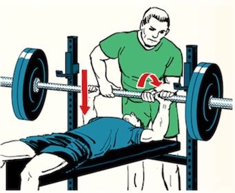 Tip How to REALLY Spot the Bench Press