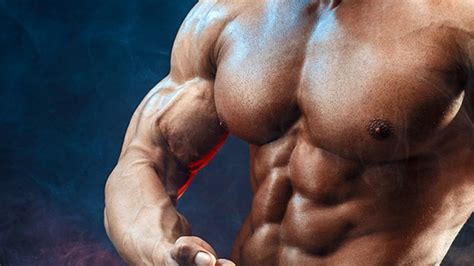 Tip How to Stay Lean and Still Build Muscle
