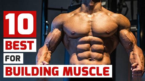 Tip My Favorite Muscle Building Method