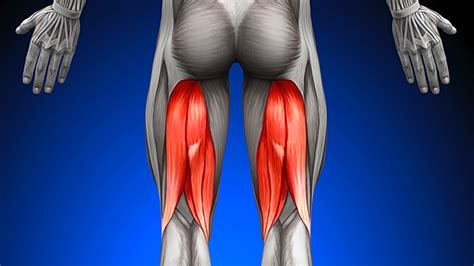 Tip One Exercise Isn t Enough for Hamstrings