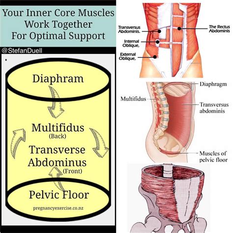 Tip Strengthen Your Deep Core Muscles