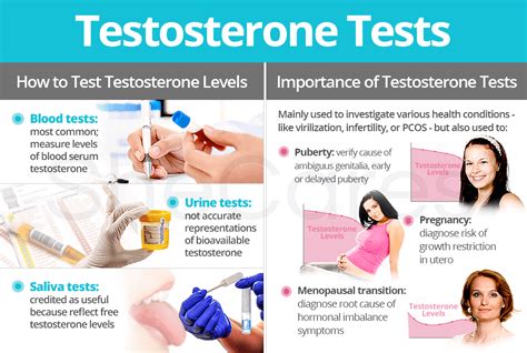 Tip The 3 Types of Testosterone Levels