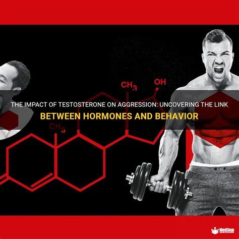 Tip The Truth About Testosterone and Aggression