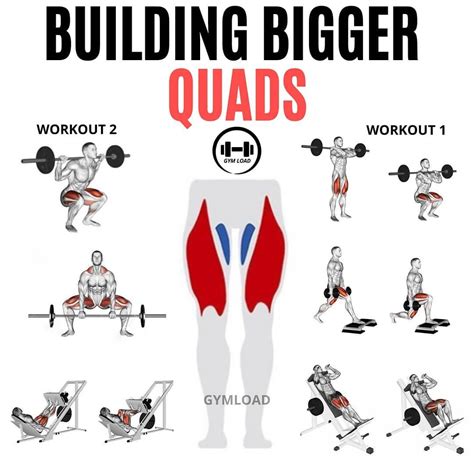 Tip Two Exercises for Complete Quad Development