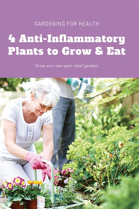 Tip You Need Inflammation to Grow