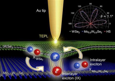 Tip-enhanced spectroscopy contributes to making