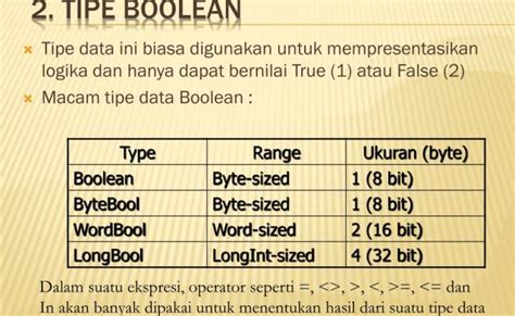 Tipe Data Boolean dan Cara Penggunaan Tipe Data Boolean