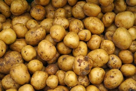 Tipi di patate: come sceglierle e quali varietà ci sono