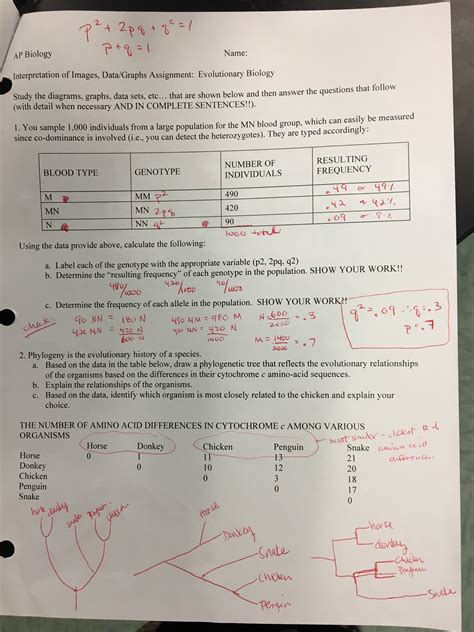 Tips For Understanding Tree Pogil Answer Key Quizlet
