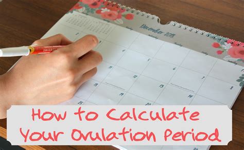 Tips To Calculate Your Ovulation Period Using Your Menstrual Cycle Tips