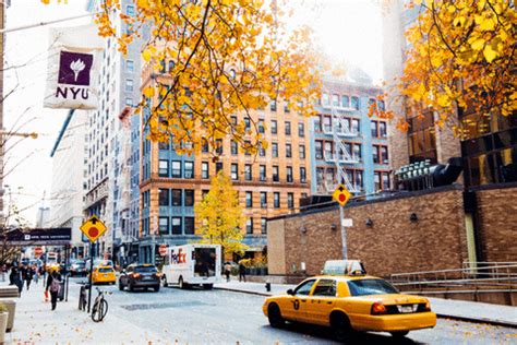 Tips for City Life… - nyu.edu