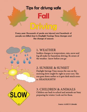 Tips for Driving Safe in Fall The Cardinal Times Online