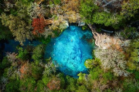 Tips for Ichetucknee Springs State Park: A Natural Lazy River in ...