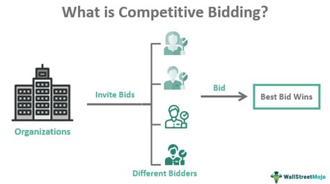 Tips for Potential Bidders: How to Participate Smartly