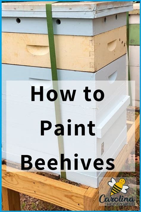 Tips for bees i should have in a red hive : …