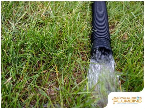 Tips to Prevent Sewer Backup Santana Bros Plumbing