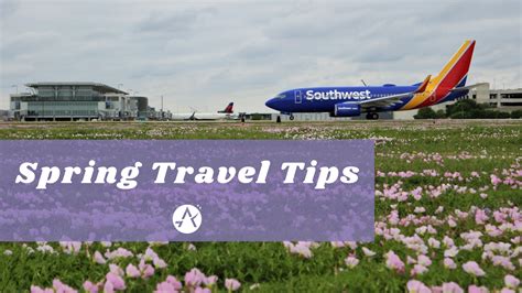 Tips to navigate Austin's airport during the busy spring festival season