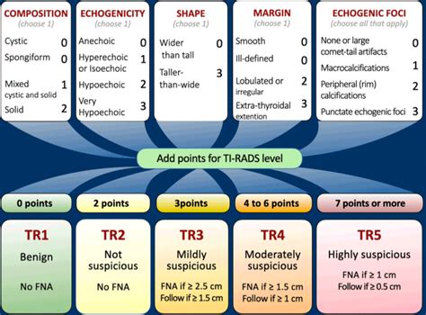 Tirads 1 thyroid nodule treatment.  New modeling data published in jamanetwork Definition: T...
