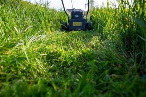 Tired of mowing the lawn? New app launching in Austin to find someone else to do it