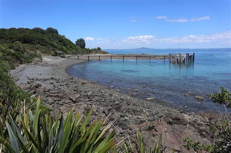 Tiritiri Matangi Island: Places to go in Auckland