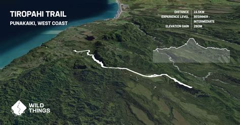 Tiropahi Trail, Punakaiki - Trail Run Directory - Wild Things