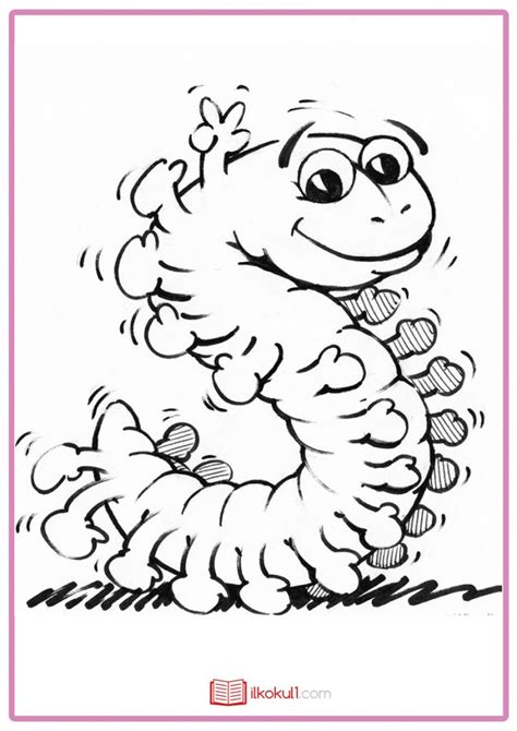 Tirtil Halı ve Koltuk Yıkama