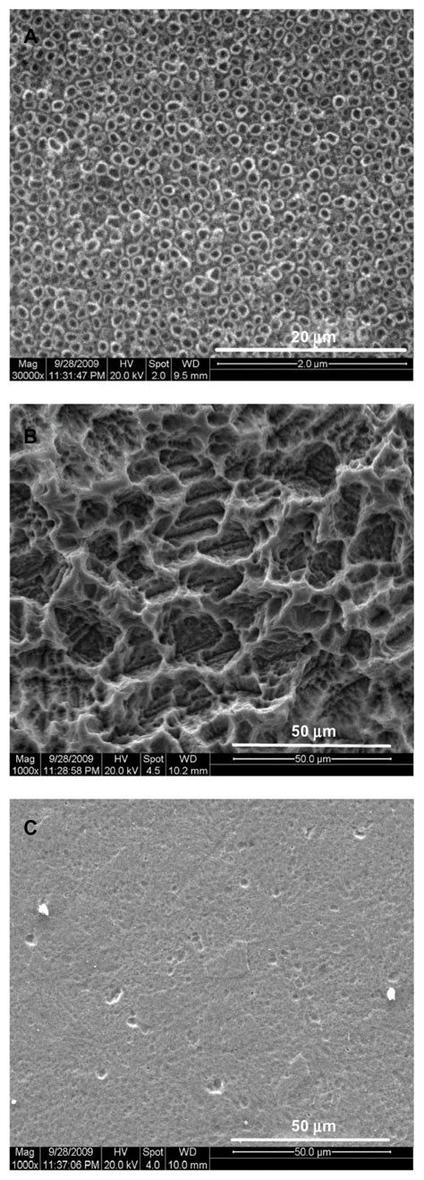 Tissue Response To Titanium Plates A Transmitted Electron Microscopic Study