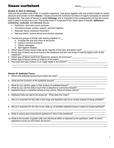 Tissue Worksheet Anatomy Answer Key