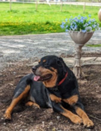 Titan funeral home obituaries. .  ...