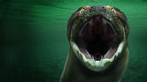 Titanoboa was the biggest known snake to ever live, reaching 42.7 feet (13 m) long. (Image credit: MR1805/Getty Images) A snake the size of a T. rex that weighs 1.25 tons (1.13 metric tons .... 