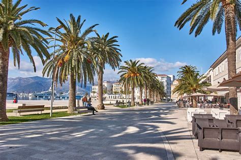 Tivat Harbour - Review of Porto Montenegro, Tivat Municipality ...