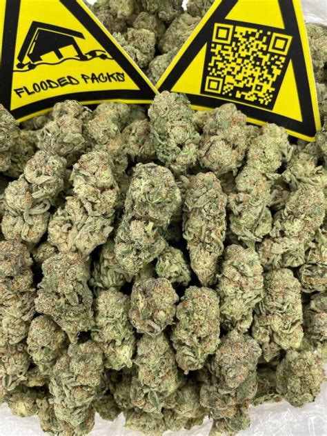 TK43, also known as “TK-43,” is an indica dominant hybrid strain (70% indica/30% sativa) created through crossing the potent White Fire#43 X Triangle Kush BX1 strains. If you're after a heavy-hitting strain that will creep up on you before knocking you flat out, TK43 is totally made for you. . 