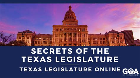 Tlo investigative database.  Website for the Texas Legislature.  Please...